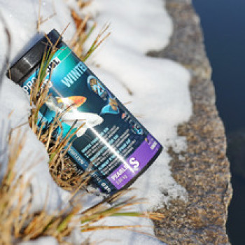 Propond Winter S